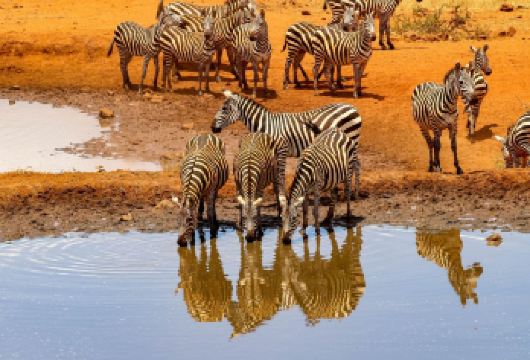 美国拉斯维加斯往返-锡安国家公园-红岩峡谷风光｜包车专线【[全程无忧出行]包车配备专属车辆，行李存放安全便捷】