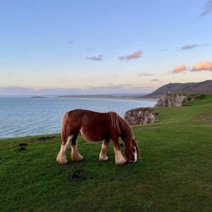 英国卡迪夫周边游-Swansea【多地出发、不含门票】