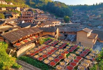 【福建版“小婺源”】桂峰古村落+4A朱子文化园汽车1日游【四周群山环抱、目之所及山峰、绿树连绵不绝、古朴淡雅的气息萦绕胸腔，有古道、古街、古树、古书斋……】