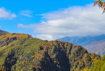 云中牧场或甘海子一日游【川西小新疆，天然牧场彩林 纯玩徒步】【成都周边一日游 雾凇， 休闲徒步，户外纯玩，天然牧场】