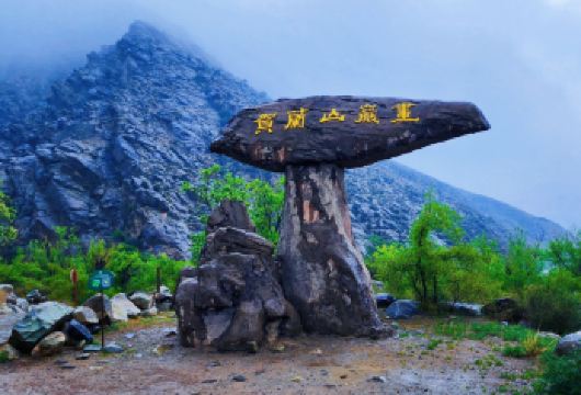 镇北堡西部影城一日游【 贺兰山岩画+西夏陵】【[出行无忧]口碑商家/精选线路/网红景点】