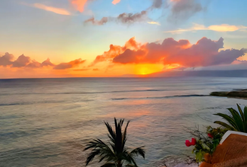 美国-夏威夷欧胡岛-都乐菠萝种植园-草帽岛-果农场私享行【专业行程定制，精选热门景点，高效游玩不走回头路，贴心服务保障，轻松】