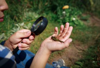 西双版纳中科院植物园夜游研学科普【独立小团接送/百科解读】【[夜游体验]错峰出行、晚出发夜游深度体验，去开启一场“追光计划之夜游植物园”全新概念亲子游】