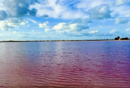 墨西哥坎昆粉红湖+火烈鸟+坎昆海滩【私家包车+南美定制】【尊享一对一高端行程定制，多日豪华包车专属礼遇，专业旅行顾问24小时恭候垂询。】