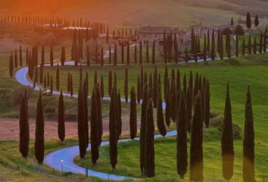 包车一日畅游：锡耶纳+小耳朵教堂+丝柏之路+皮恩扎+奥尔恰谷【无需为交通烦恼，舒适专车全程接送，行程灵活自由，随心掌控游览节奏，沉浸式感受意大利风情。】