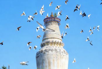 【特价小团】五台山一日8人小团游\太原市环线内可上门接送【[拼小团]尊享8人轻奢拼小团，节奏自由把控拒绝大团的烦躁，有自由时间可以自行游览。】