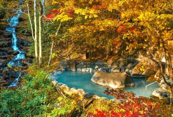 日本青森县奥入濑溪流+十和田湖+八甲田山一日游：青森出发【青森出发，精致小团出行，纯玩无隐形消费】