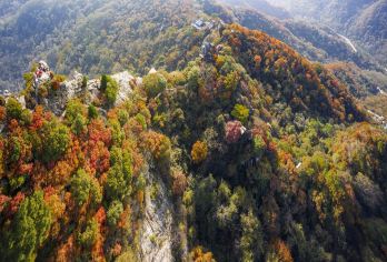 翠华山一日游【多套餐可选，5座/7座/9座多种车型可选】【包车出行，自由自在，专属舒适空间】