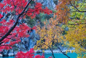 松坪沟一日游【户外徒步·金秋红叶彩林·森林氧吧·打卡小九寨】【[户外徒步]户外轻徒步，难度适中，拥抱自然】