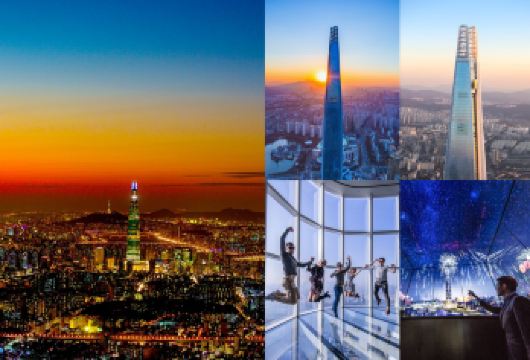 Seoul Sky Day Tour [含免稅店優惠券]【只有在乐天免税店停留至少一小时，才会提供门票。但购物（购买商品）并非强制要求。】