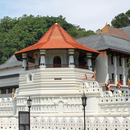 【英文司机包车游】科伦坡+平纳瓦拉+皇家植物园+康提湖+佛牙