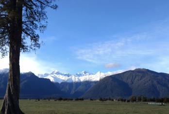 新西兰基督城+蒂卡波湖+普卡基湖可定制【中文专车-惬意舒适】【中文专车出行，行程自己定义，无需等待，专属贴心服务，尽享惬意旅程】