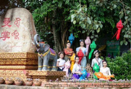 【一单一团不拼车】云南西双版纳野象谷+曼掌村一日游【[无需早起]睡醒出发，无需早起，晚出发，舒心纯玩，市区内师傅上酒店门口接送】