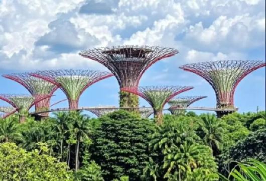 【新加坡一日游】小印度+牛车水+滨海湾花园+夜间动物园【包车成团，畅游赤道明珠，体验魅力南洋】