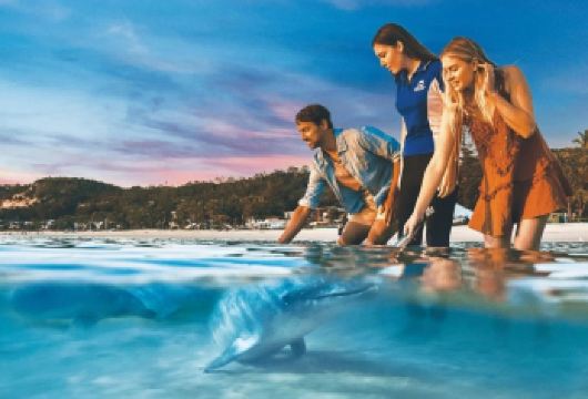 澳大利亚布里斯班莫顿岛一日游【海豚岛|项目5选1】【含往返摩顿岛渡轮船票】