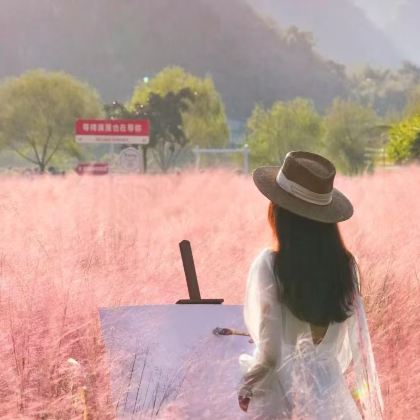 私家团上门接送+清远洞天仙境+峰林晓镇四季花海一日游+含门票