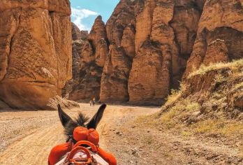 黄河石林国家地质公园一日游  | 可选永泰古城 | 22道弯【[服务承诺]不玩套路、无购物、0套路、0推销、专注小团，我们更专业！家庭亲子游!】