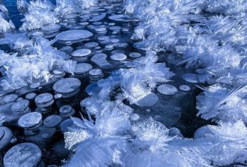 新疆伊犁+赛里木湖+果子沟大桥包车一日游/精致小团【赛里木湖自驾环湖约90公里左右】