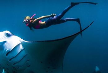 珀尼达岛：曼塔角浮潜 2 个地点（含巴厘岛酒店接送服务）【在著名的蝠鲼点与蝠鲼一起浮潜，这里是努沙佩尼达岛**海洋景点之一。 探索2个**的浮潜点，是观赏色彩斑斓的珊瑚和热带鱼的理想之地 可选择巴厘岛酒店接送服务，您可以灵活选择从巴厘岛出发或直接在港口集合。】