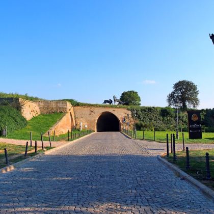 塞尔维亚时光胶囊：从中世纪修道院到多瑙河畔的浪漫包车一日游