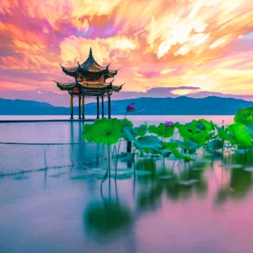 杭州雷峰塔+西湖游船+三潭印月半日游【上/下午/包团 讲解】