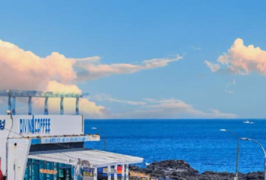 小人国公园+汽车博物馆+M1971追海豚一日游【 包车游】【想怎么游你说了算！！ 当地中文司机，在地生活，感受当地人的模式 美食攻略，旅途聚会，吃吃喝喝畅游当地】