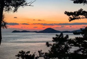 崂山一日游包车【赶海+环海公路+青山渔村+精致团+趣味伴游】【5座到55座均可联系。主打一个一站式服务，品质优先，您想要的就是我们努力去做的。】