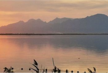 哈素海+美岱召一日游 | 塞北江南与佛国古刹的时空对话【「度假优选」不仅是向导/导游，更是您的“活百科”和“贴心管家”，让风景更有故事】