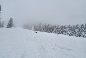 加拿大卡尔加里出发：诺奎山+路易斯湖+翡翠湖一日游【省时省心+行程灵活+VIP包车一站式服务+中文司导】