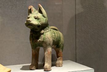 【可选含预约/精品/私享团】河南博物院2小时讲解+高清耳麦【[精品小团]精品小团，拼团的价格，私家团的体验！】