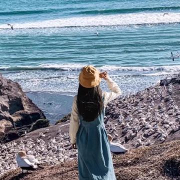 奥克兰市内精华+鸟岛黑沙滩中文团一日游包团