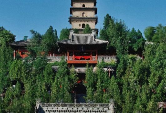 普救寺半日游【精品游】【深层次2H】【私家团】【[品质讲解]精选专业讲师，2H深入讲解】