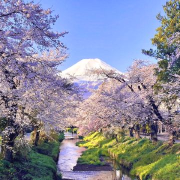 日本东京富士山一日游【网红景点打卡|纯玩无购物|无语言障碍】