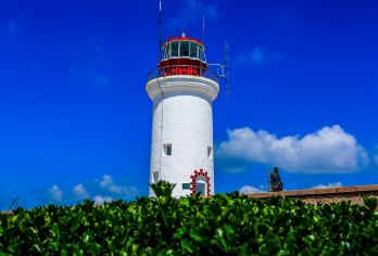 【包车游】火炬八街+布鲁维斯号+威海市区+荣成东线景点自选【纯玩无购物包车自由行（不含景点门票），自家车队统一管理，车况好手续全，出行无忧！】