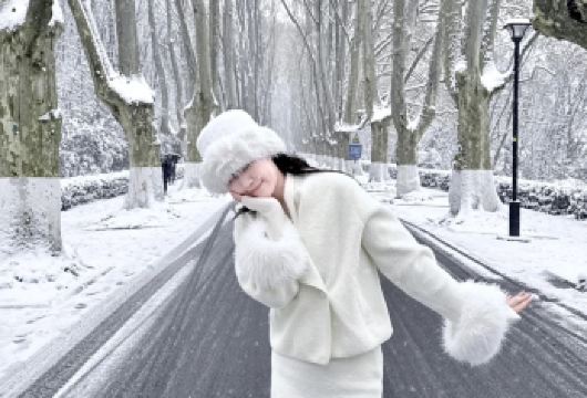 钟山风景区|美龄宫|音乐台|中山陵|明孝陵梧桐大道|一日活动【从清代到民国的半部近代史变迁】
