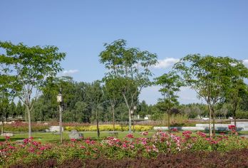 中国廊坊：永定河自行车公园+廊坊自然公园+|英|法|日导游O【全程中文/英文/小语种服务，沟通无障碍，景点可调】