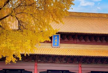 六朝博物馆+南京市博物馆（朝天宫）+莫愁湖+南京眼＋鱼嘴灯塔【此线路比较小众，适合节假日，可以避开人潮汹涌的热门景区，提高出行体验。】