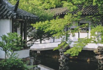 杭州直通车·苏州拙政园·寒山寺·七里山塘·纯玩一日游【杭州出发·拼团纯玩·每日发车】