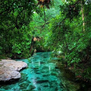 美国奥兰多【肯尼迪航天中心+摩天轮】中文司机+接送】