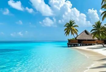 海南三亚南山寺+西岛+蜈支洲岛 一日游【专业司机+优质服务+开心旅行】