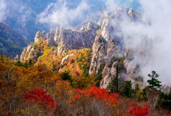 韩国江原道雪岳山国立公园+洛山寺一日游【首尔出发】【山水秘境雪岳山｜深入雪岳山国立公园，山峦环绕溪谷潺潺，四季景色变幻如画，尽赏韩国经典的自然风光。】