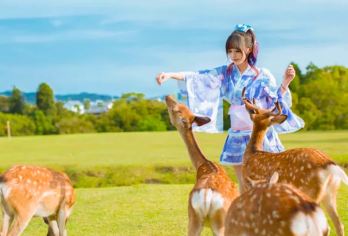 日本京都奈良清水寺一日游【9人小团可选|酒店接送|中英司导】【[玩转双城]京都古城+奈良公园，与奈良小鹿亲密接触】