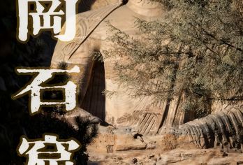 大同云冈石窟人工讲解《任我游》一日游【不包含门票需提前预约】【纯人工讲解专业持证导游深度讲解，拒绝走马观花、无隐形消费、纯玩安心游】