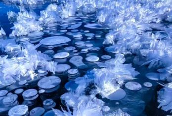 伊犁赛里木湖一日游【6人小团+纯玩无购物+自驾环湖】【『精品小团』：1人即成团，6人封顶，多睡一会儿，景区时间更充裕，告别城市的喧嚣，享受大自然的宁静】