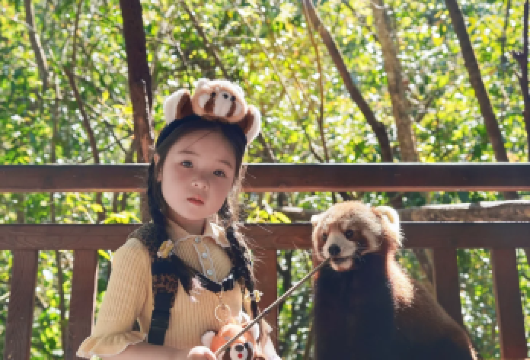 普洱太阳河森林公园+普洱咖啡庄园【9选一】独立私家团一日游【萌宠互动+咖啡寻香双重体验，97%森林覆盖率洗肺解压，解锁普洱自然与人文交融之美】