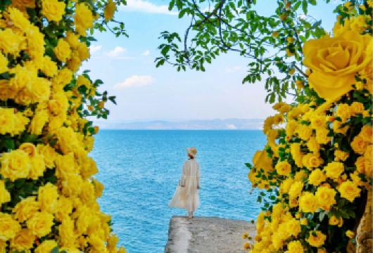 抚仙湖澄江广龙抚海湾+红沙滩+禄充风景区一日游【品铜锅鱼】【[游玩品质]真正纯玩无购物+正规旅游车辆，方便、快捷、省心！】