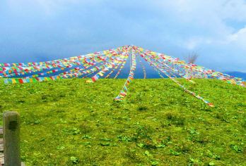丽江玉龙雪山景区：牦牛坪+蓝月谷一日游（赠：简餐）【（精选线路）品质线路，旅游套餐玉龙雪山牦牛坪小索道一日游，全程用车无缝接送、为您带来舒适的旅行体验。】