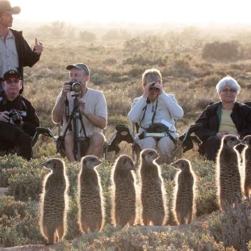温得和克出发| Naankuse狐獴庄园2小时亲密接触半日游