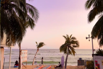 海南陵水| 分界洲岛| 香水湾| 南湾猴岛| 新村夜市|xx【品质出游】