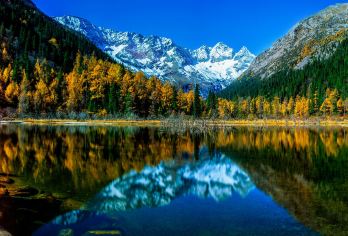 成都出发：都江堰+达古冰川一日游 包车 多语种导游C【全程中文/英文/俄语/小语种服务，沟通无障碍，景点可调,多种车型可选】